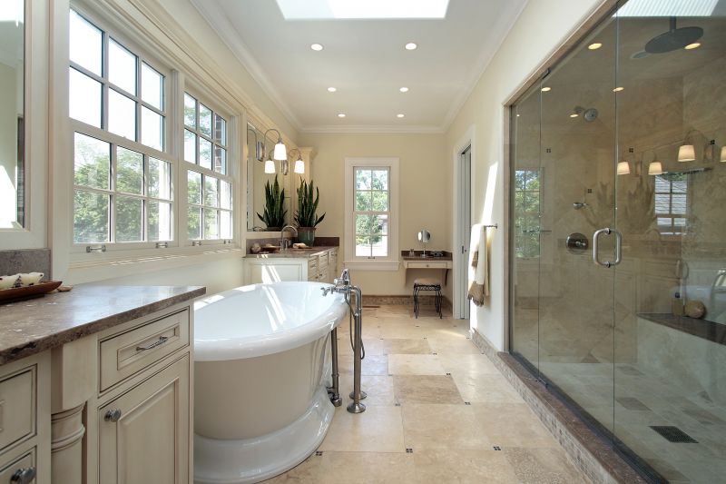 Elegant Tub and Shower Combo